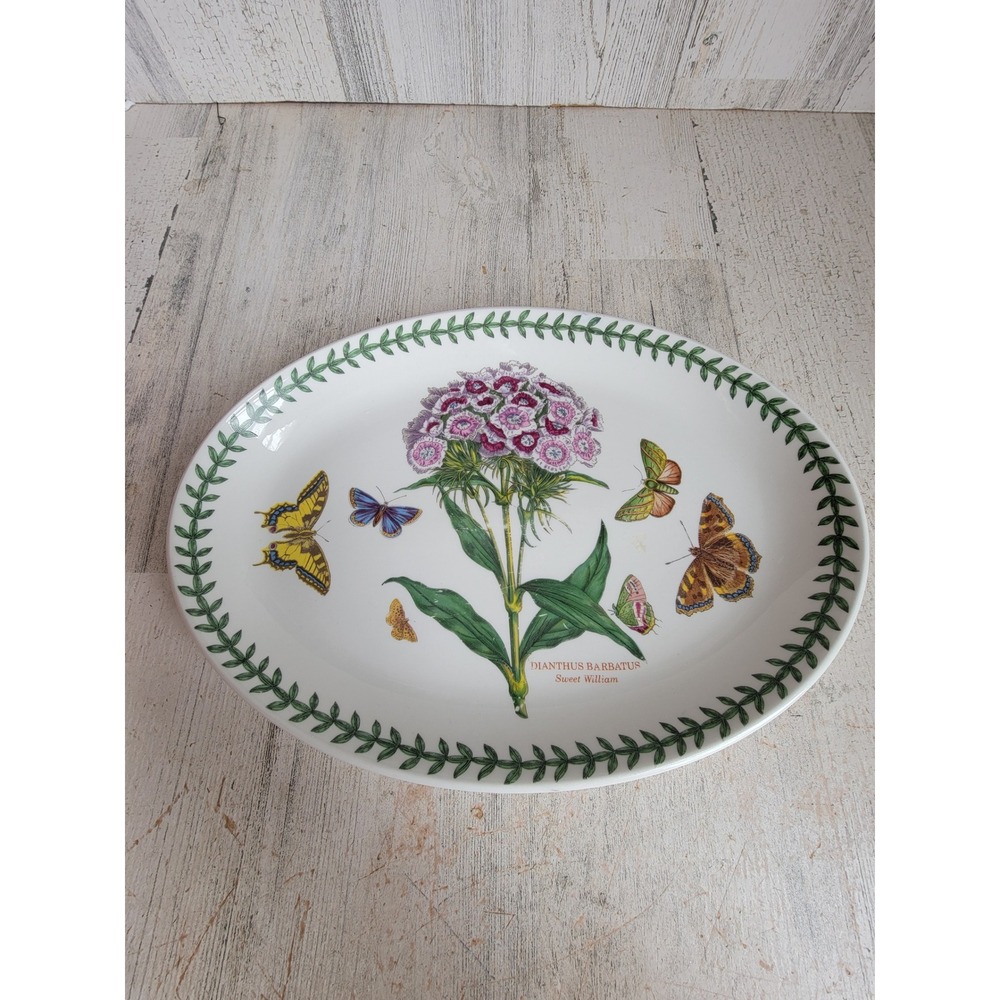Botanical garden Dianthus Barbatis Sweet William old plate platter kitchen